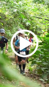 BIB:  <button type="button" onclick="openModal(26821797)" class="btn btn-primary btn-sm float-right" data-toggle="modal" data-target=".modal-high-quality">
                <i class="fa fa-download"></i> Download
                </button>